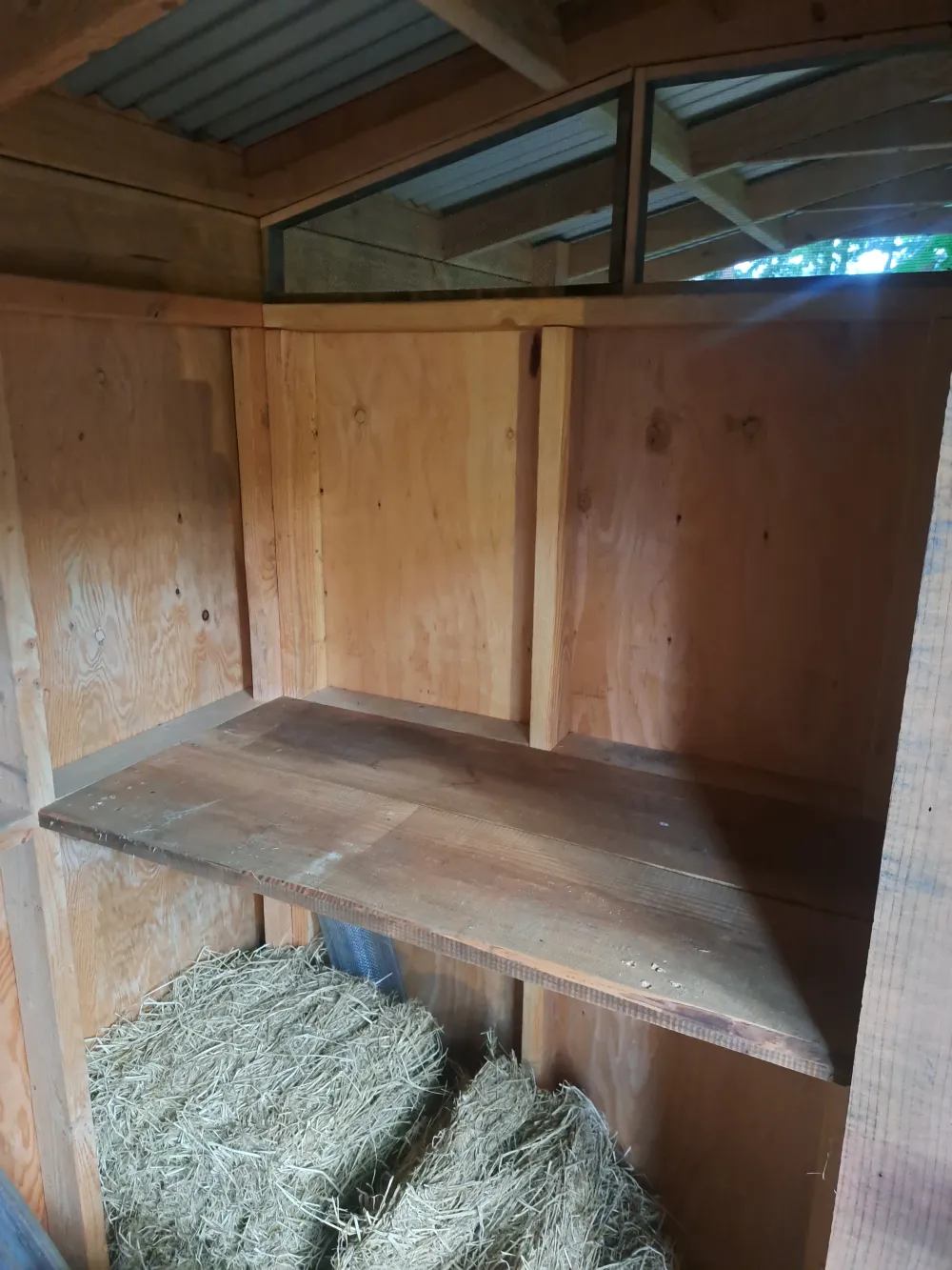 A shed (with saltbox roof) image